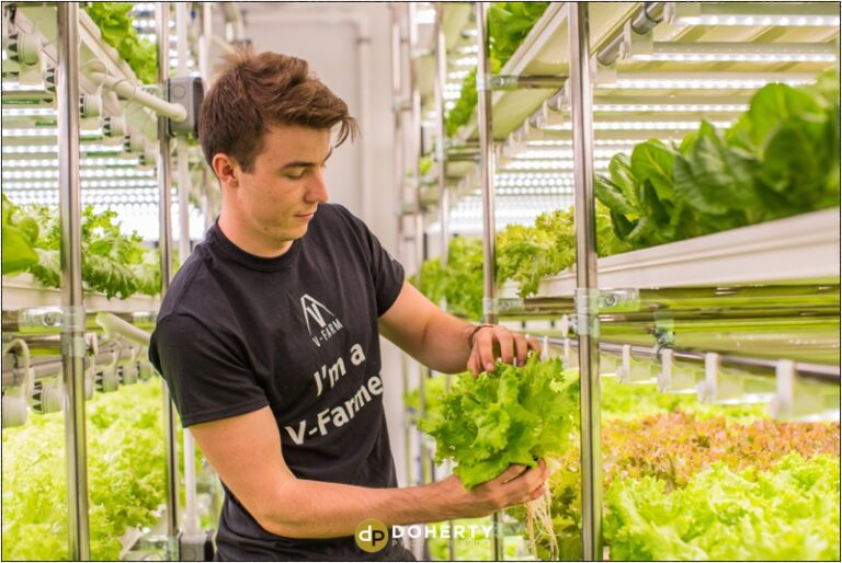 Commercial Photography – Hydro Garden – Coventry